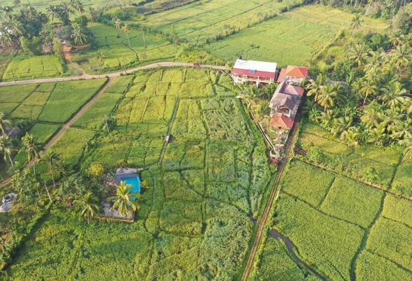 פנסיון Nelu Villa Sigiriya