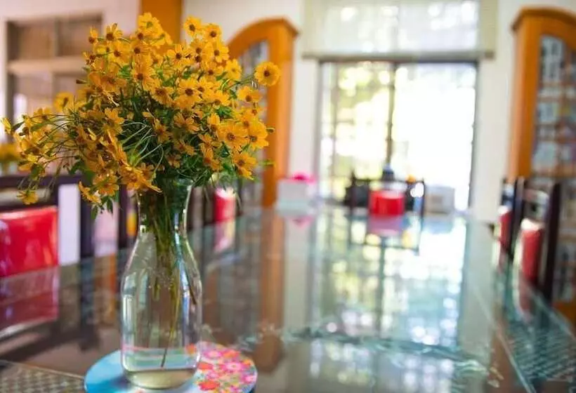 پانسیون Pine Garden Family Villa