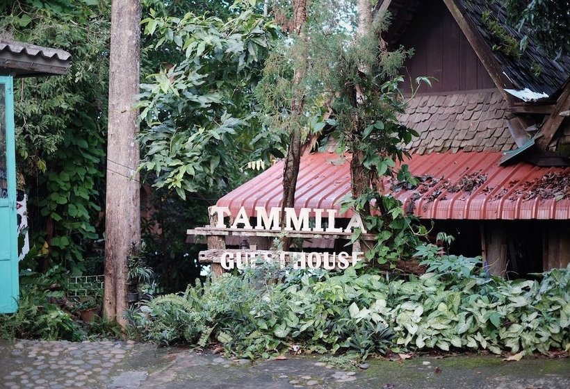 膳宿费 Baan Tammila Guesthouse