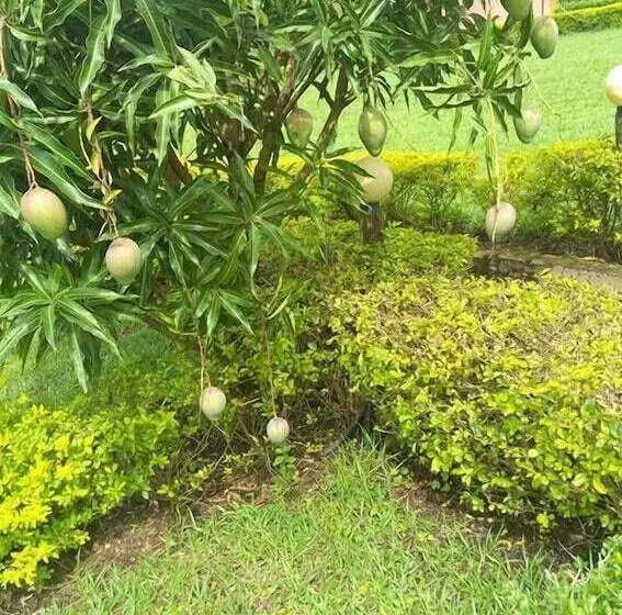 پانسیون C & G Heritage Cottage