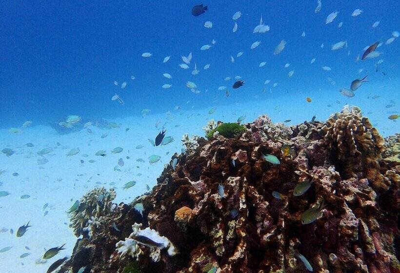 Tropical Living In Modern Villa Lancelot