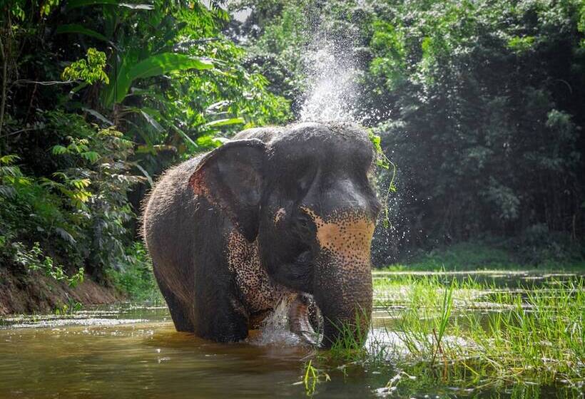 Tropical Living In Modern Villa Lancelot