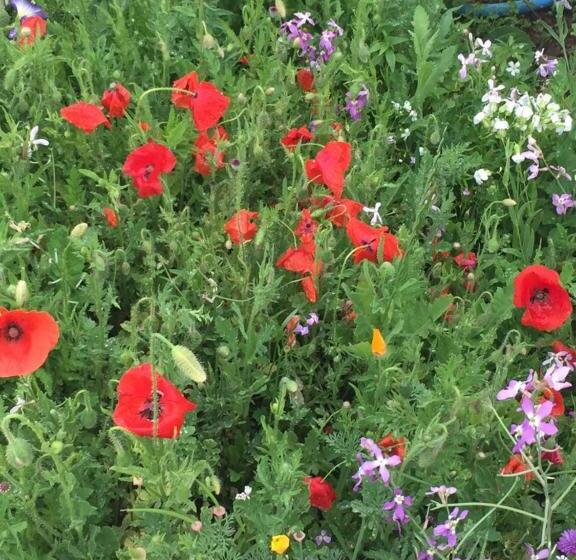 B & B Florence Et Francis