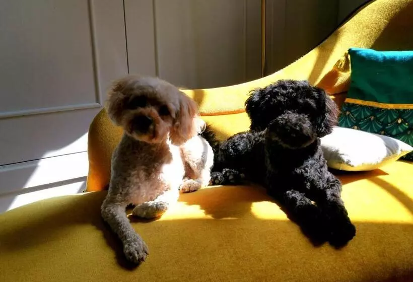 Aamiaismajoitus (B&B) Maison De L'aguze