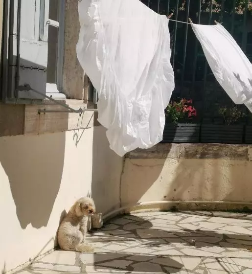 Aamiaismajoitus (B&B) Maison De L'aguze