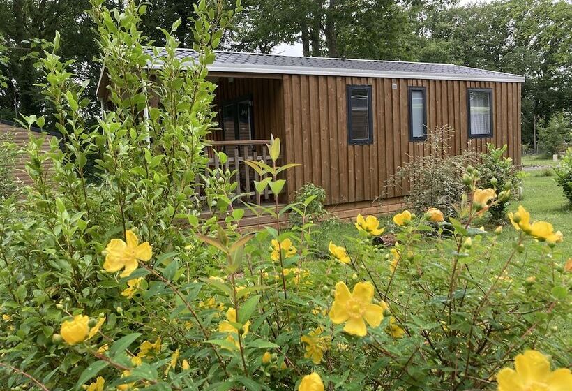 ホテル Camping Le Lac O Fées