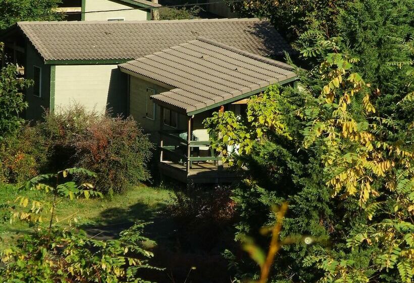 酒店 Camping Municipal Du Pont De L Elze