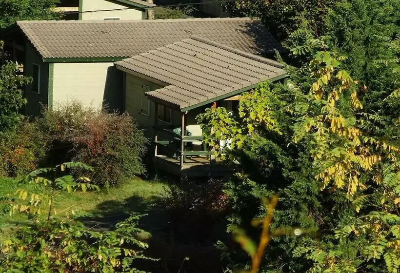 ホテル Camping Municipal Du Pont De L Elze