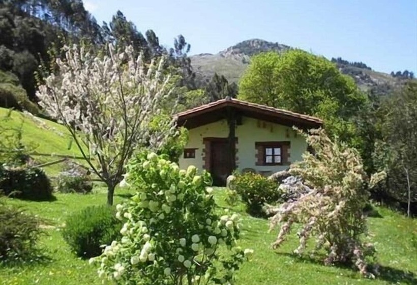 Los Acebos De Peña Cabarga