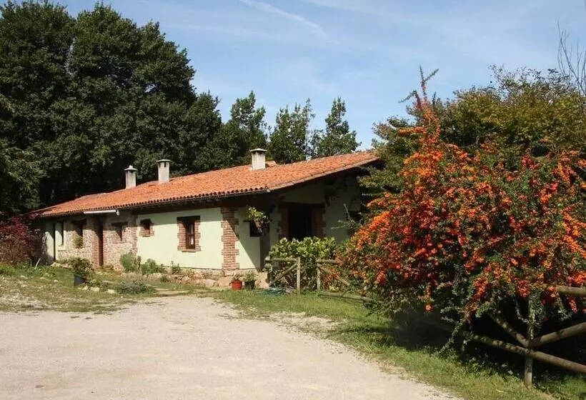 Los Acebos De Peña Cabarga