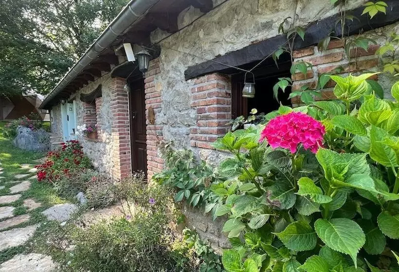 Los Acebos De Peña Cabarga