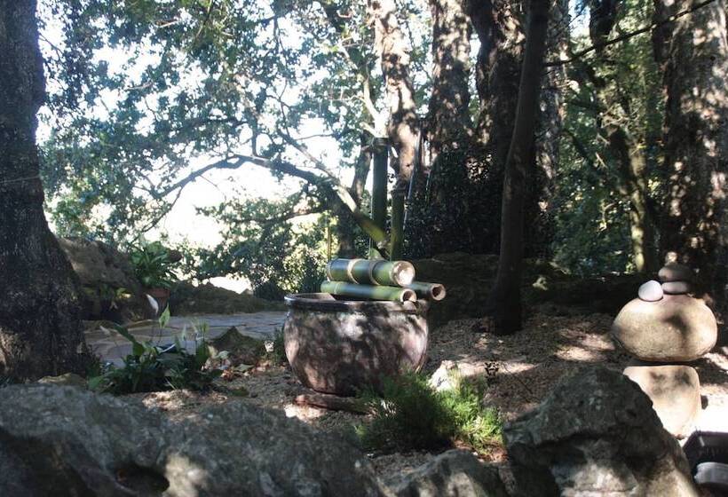 Los Acebos De Peña Cabarga