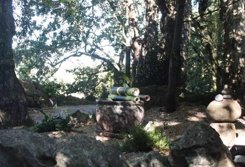 Los Acebos De Peña Cabarga