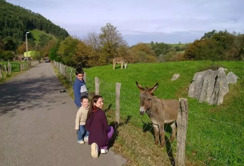 Los Acebos De Peña Cabarga