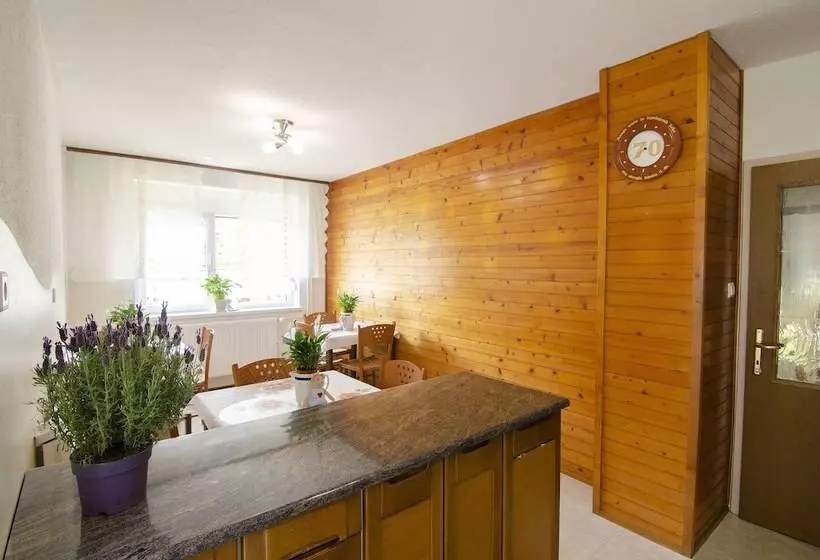 ペンション Apartments And Rooms Banić