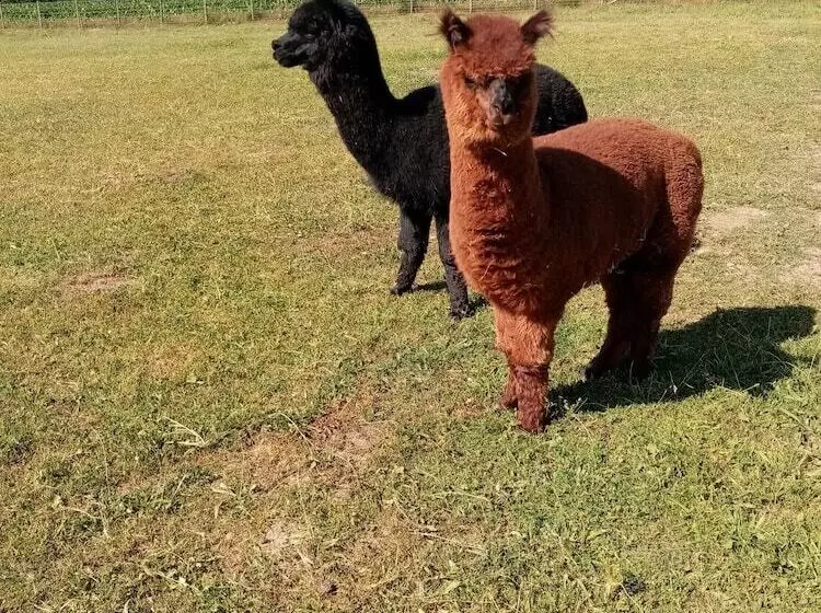 Aamiaismajoitus (B&B) Chambre D Hôtes Le Pot Au Lait