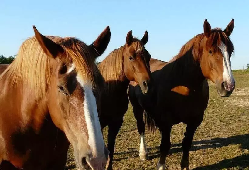 Aamiaismajoitus (B&B) Chambre D Hôtes Le Pot Au Lait