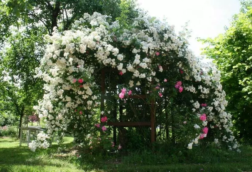 Aamiaismajoitus (B&B) Chambres D Hotes Du Jay