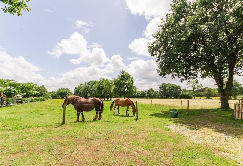 ベッドアンドブレックファースト Le Relais De Vérone Chambre D Hôtes
