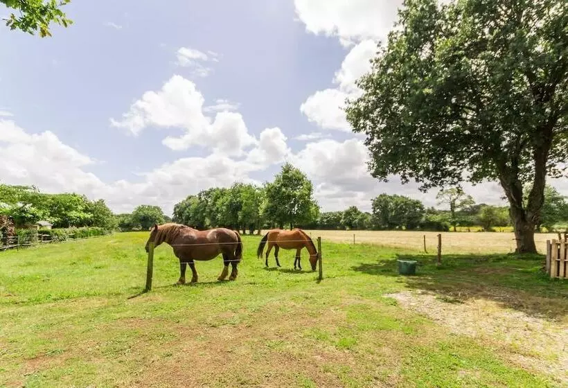 Aamiaismajoitus (B&B) Le Relais De Vérone Chambre D Hôtes