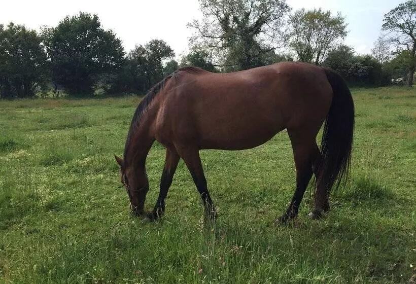 Aamiaismajoitus (B&B) Le Relais De Vérone Chambre D Hôtes