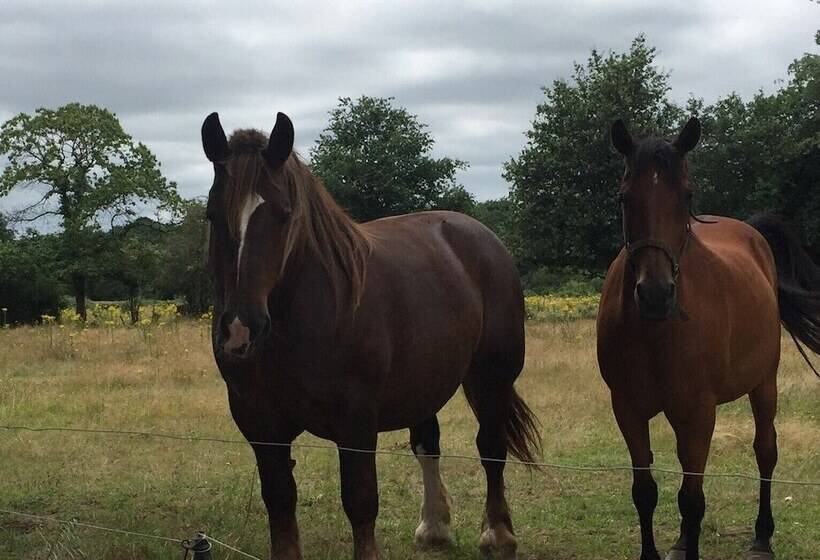 ベッドアンドブレックファースト Le Relais De Vérone Chambre D Hôtes