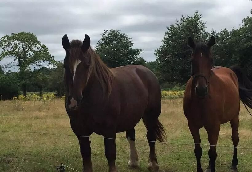 Aamiaismajoitus (B&B) Le Relais De Vérone Chambre D Hôtes