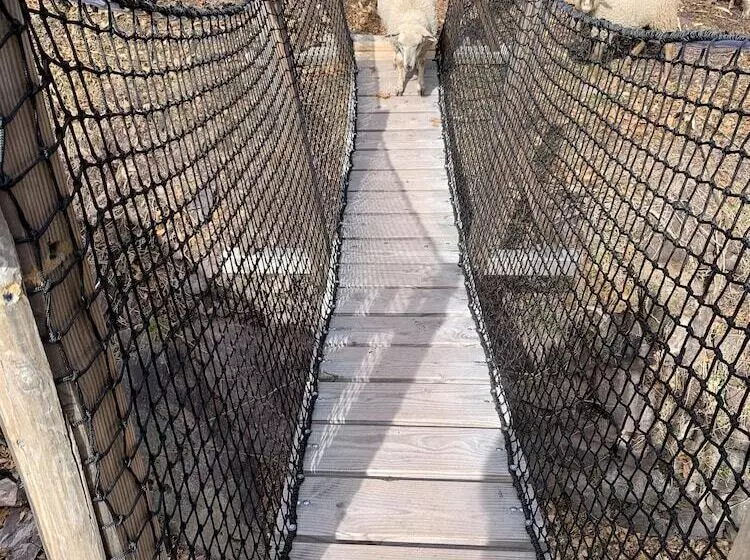 Les Ecrins De Belvedere