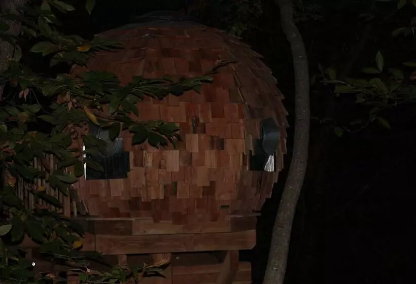 Les Ecrins De Belvedere