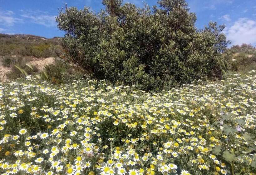 펜션 Los Trulls D´auligué