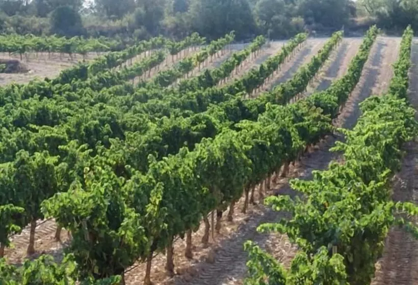 Majatalo Los Trulls D´auligué