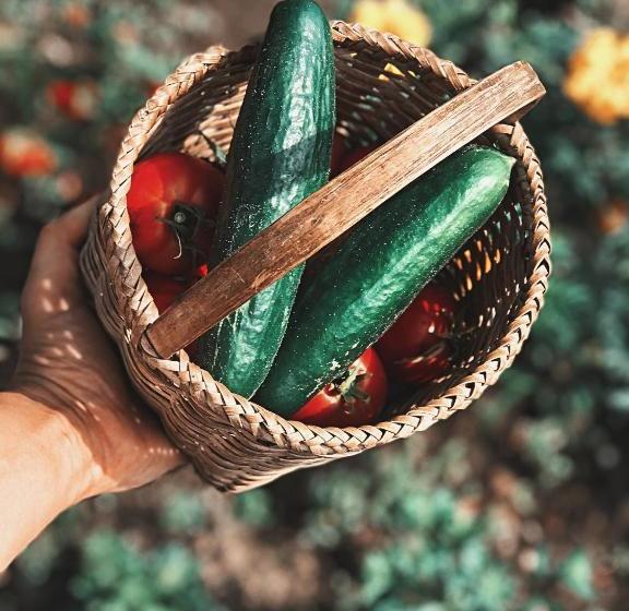 پانسیون Villa Tsinandali