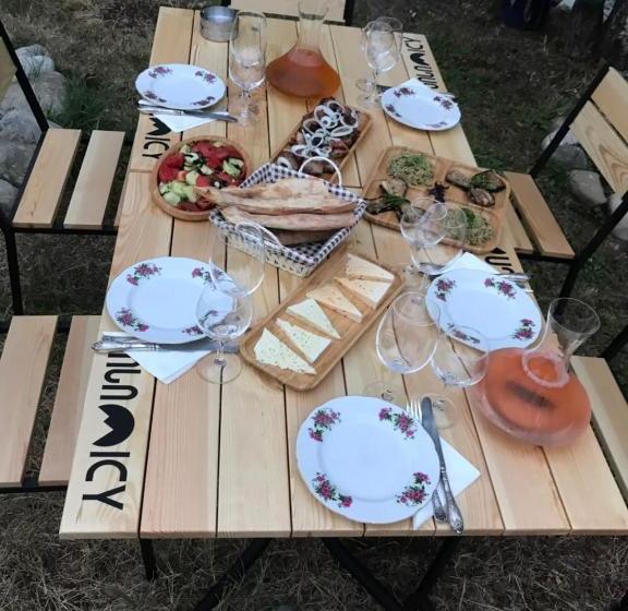 پانسیون Villa Tsinandali