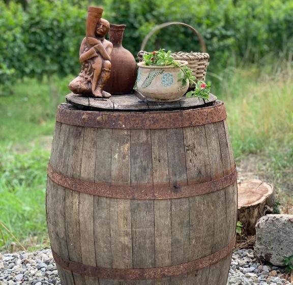 پانسیون Villa Tsinandali