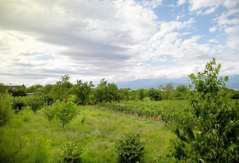 پانسیون Villa Tsinandali