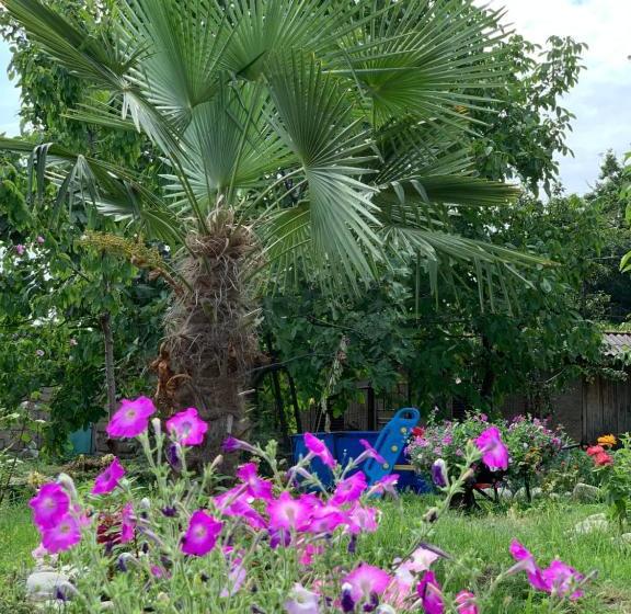 پانسیون Villa Tsinandali