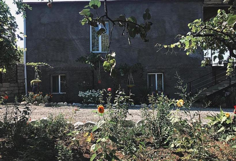 پانسیون Villa Tsinandali