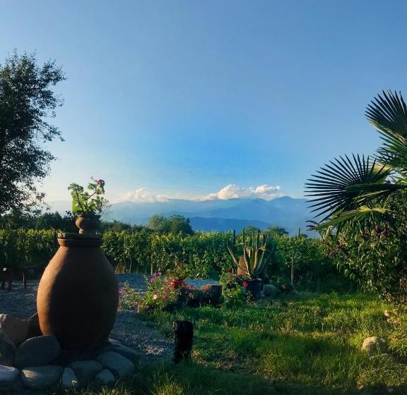 پانسیون Villa Tsinandali