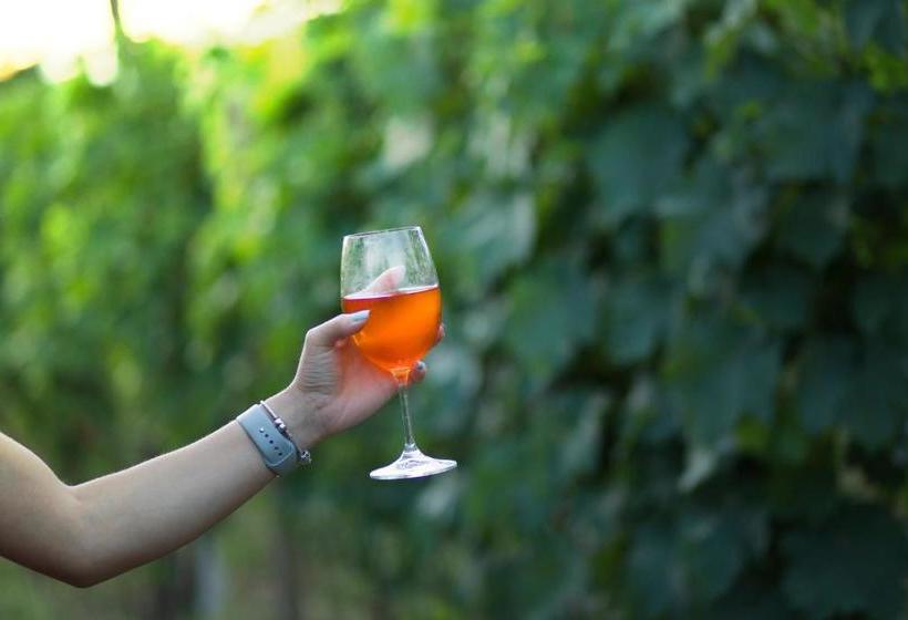 پانسیون Villa Tsinandali