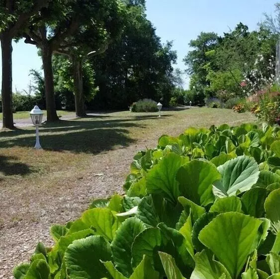 Villa Castel Maison Table D Hôtes & Jardin Refuge De Biodiversité