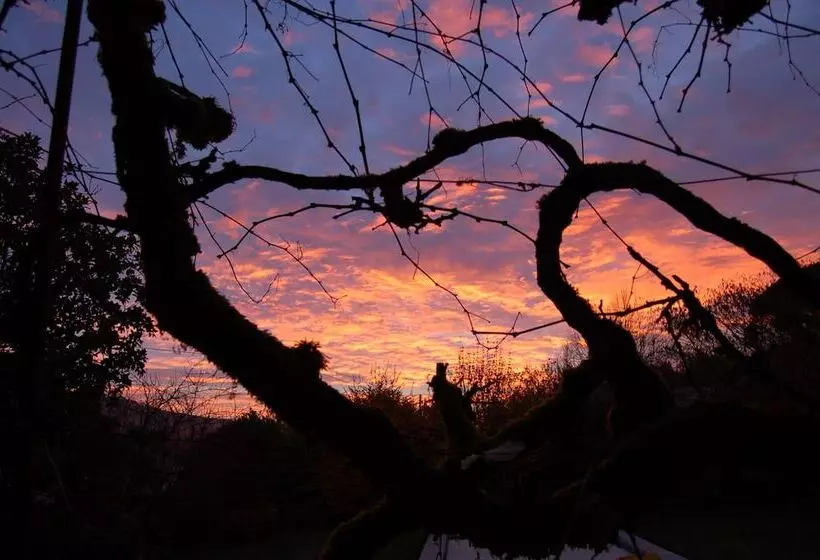 ベッドアンドブレックファースト Chambres Téranga