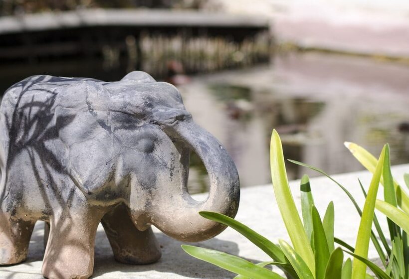 צימר L’éléphant De Vaugines