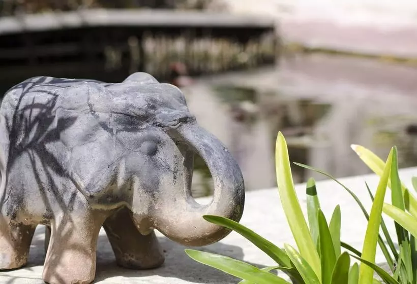 ベッドアンドブレックファースト L’éléphant De Vaugines