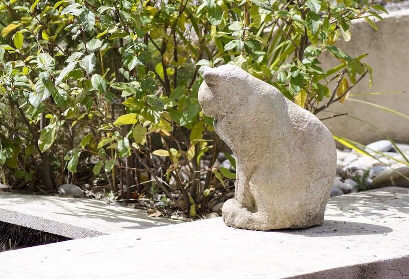 צימר L’éléphant De Vaugines