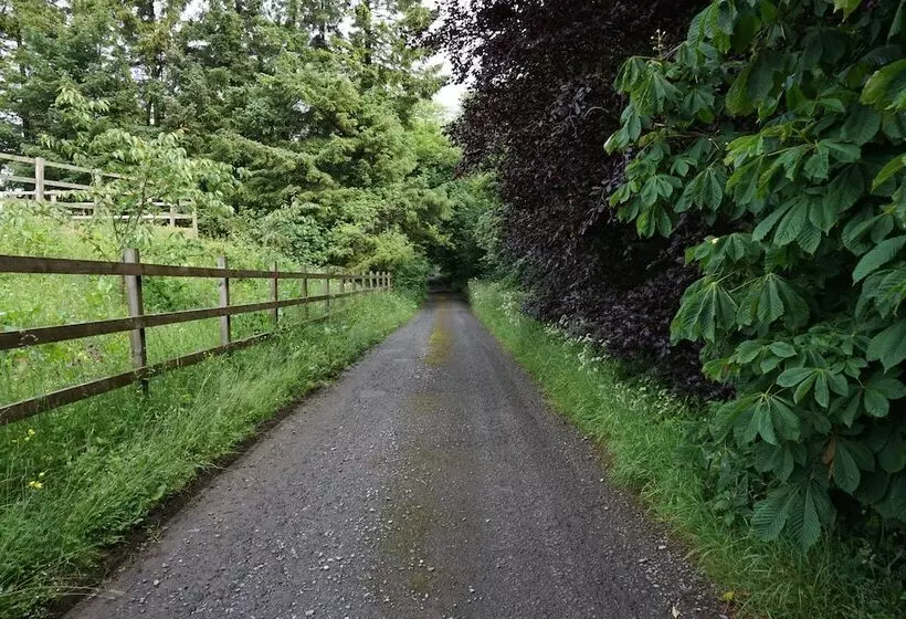 ベッドアンドブレックファースト Mosswood