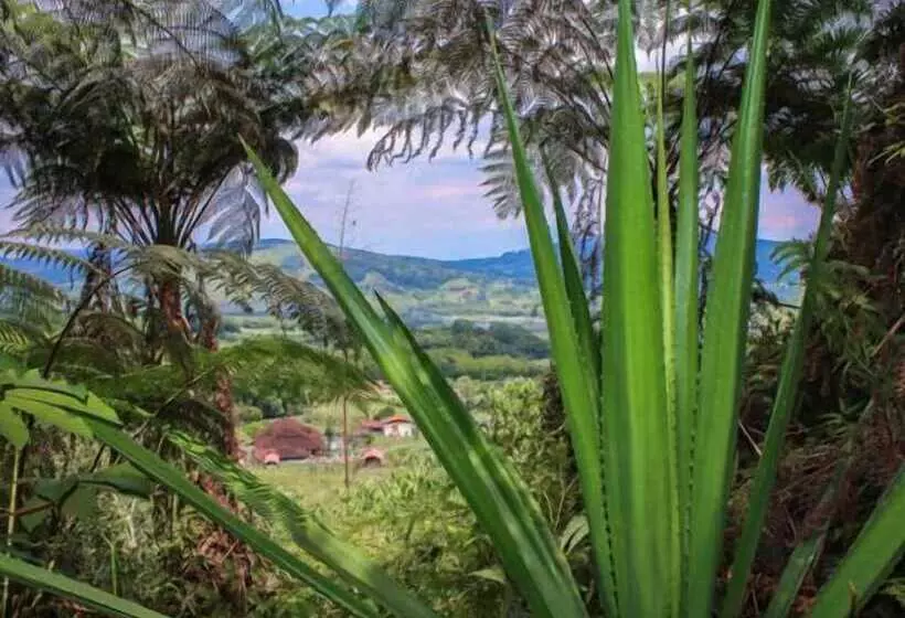 Hostelli Ecolife Calima