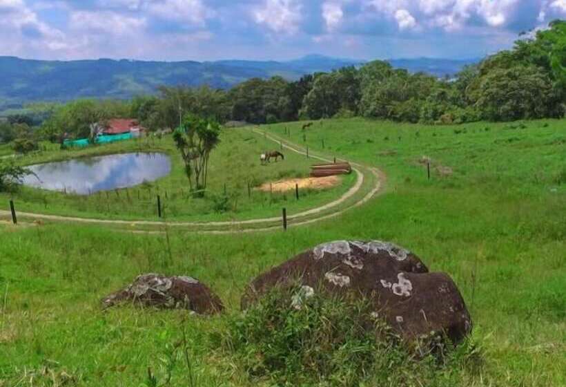 Pansiyon Ecolife Calima