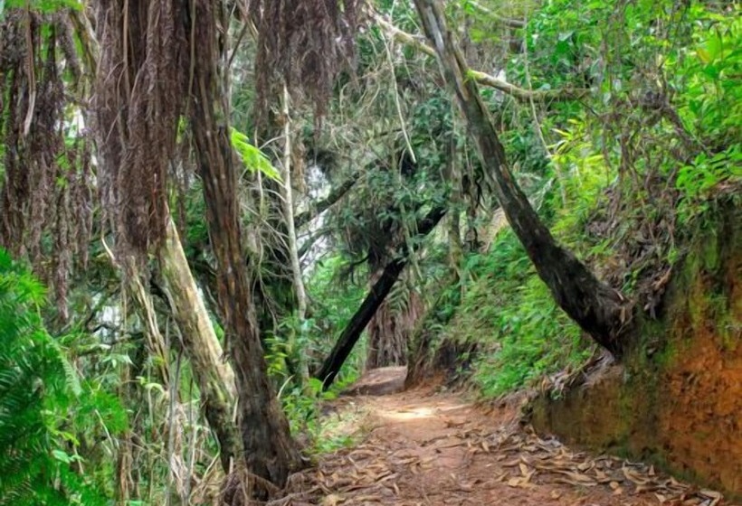 Pansiyon Ecolife Calima