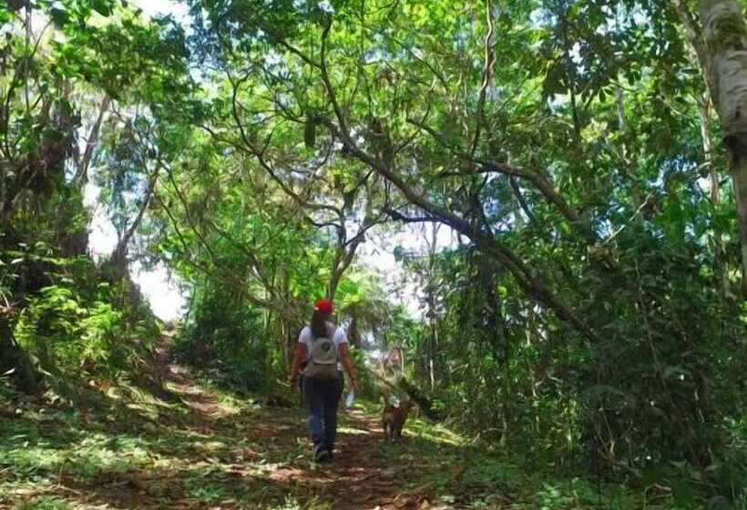 Pansiyon Ecolife Calima