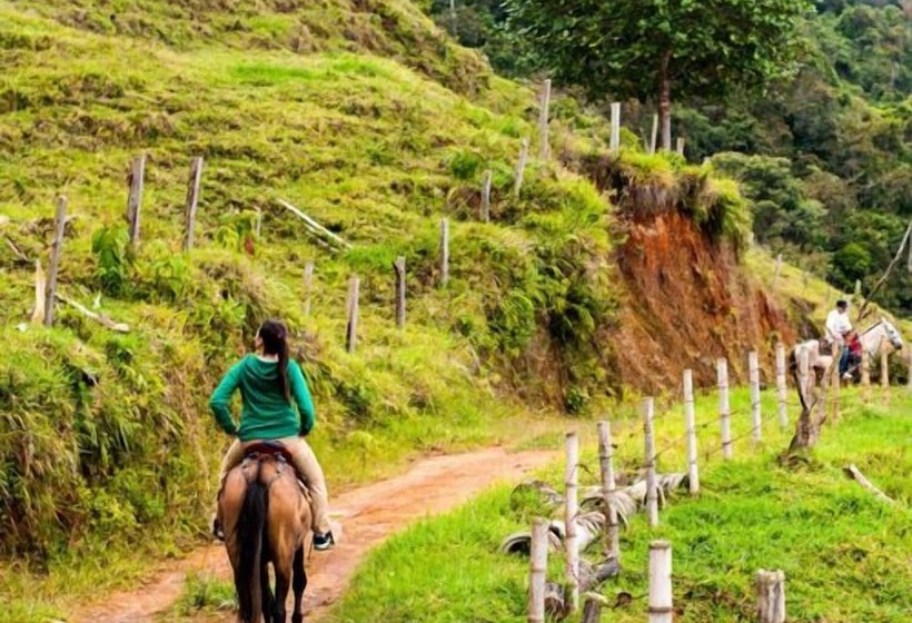 Pansiyon Ecolife Calima